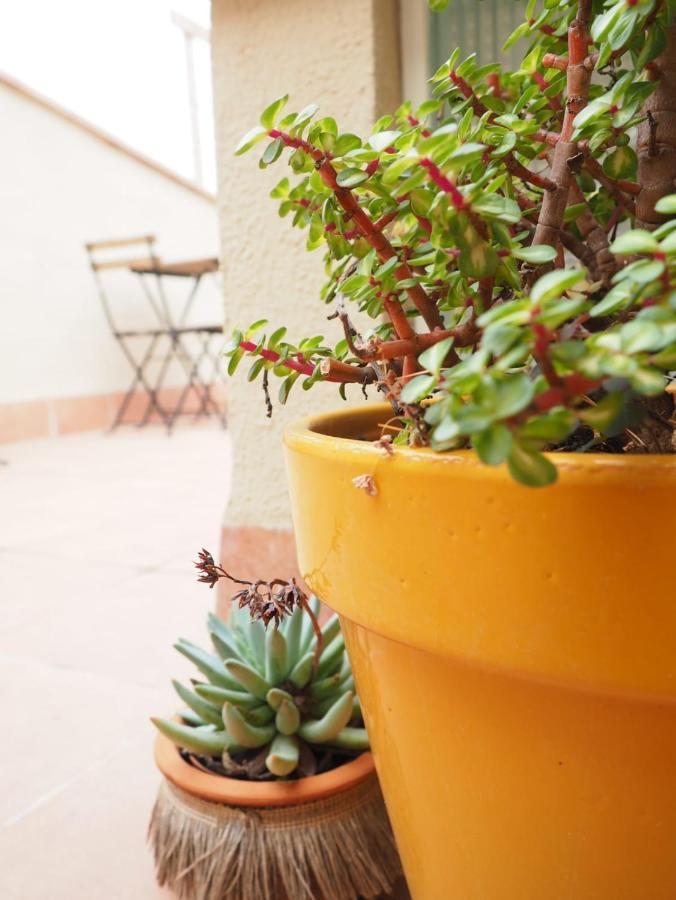 Apartaments La Rambla - Arbequina - 6 Persones Cornudella de Montsant Екстериор снимка